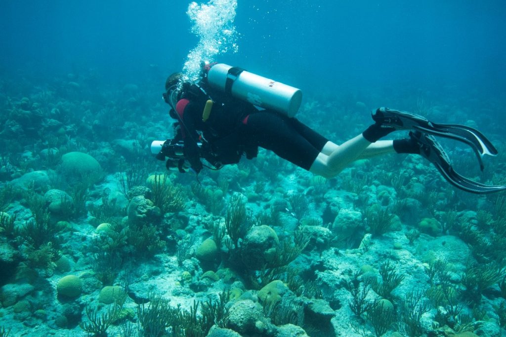 Jonathan Teague under water in SCUBA diving gear taking images of coral reef
