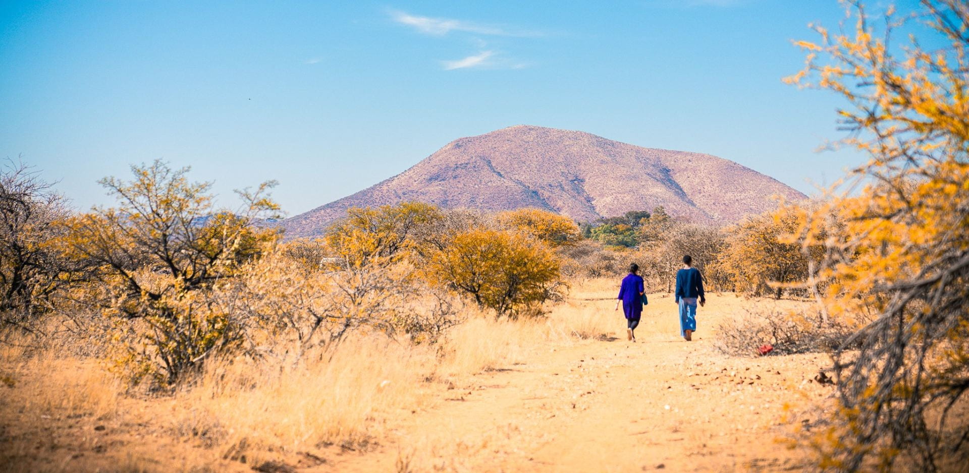 Walking in Namibia news header